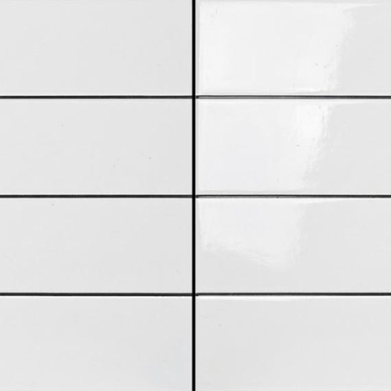 Gạch trang trí, ốp tường Hoa văn / Họa tiết trắng 60x30 Ceramic bóng - ADP3601
